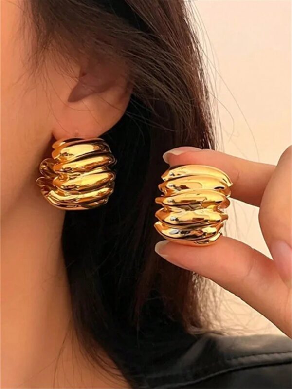 Curved Line Big Hoop Earrings